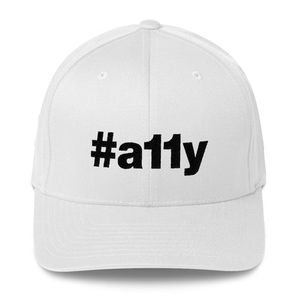Black, #a11y letters on front of white full-back baseball cap.